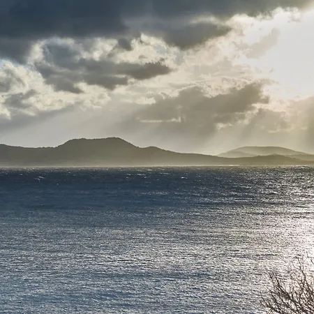 The Coast Bill&coo-the Leading Of The World (adults Only)