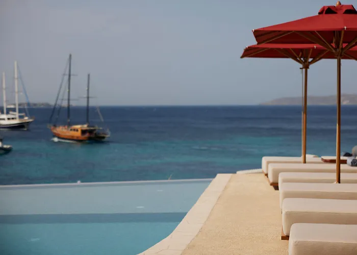 The Coast Bill&coo-the Leading Of The World (adults Only) 5*